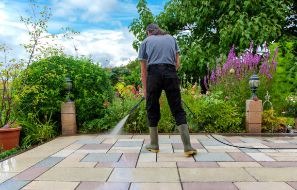 Best Concrete Sealing  in Dansville, NY