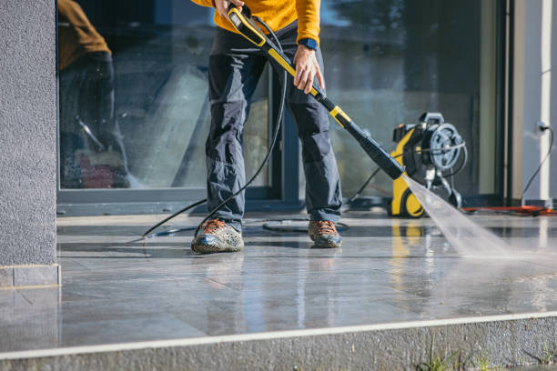 Best Roof Washing  in Dansville, NY